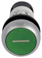 C22-D-G-X1-K11