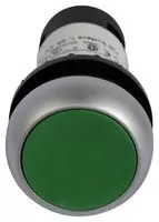 C22-D-G-K10