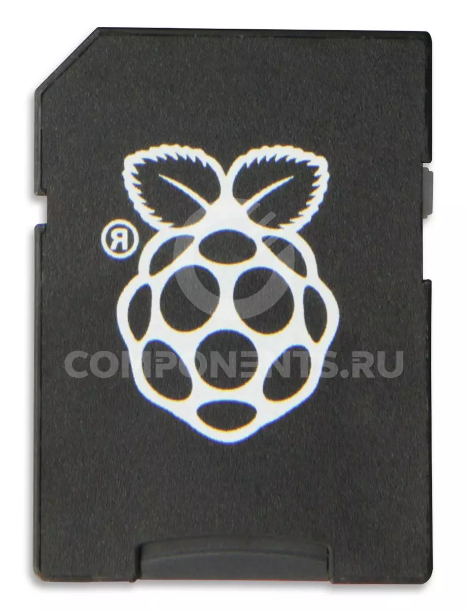 RASPBERRY-PI / PROG-8GB-USD